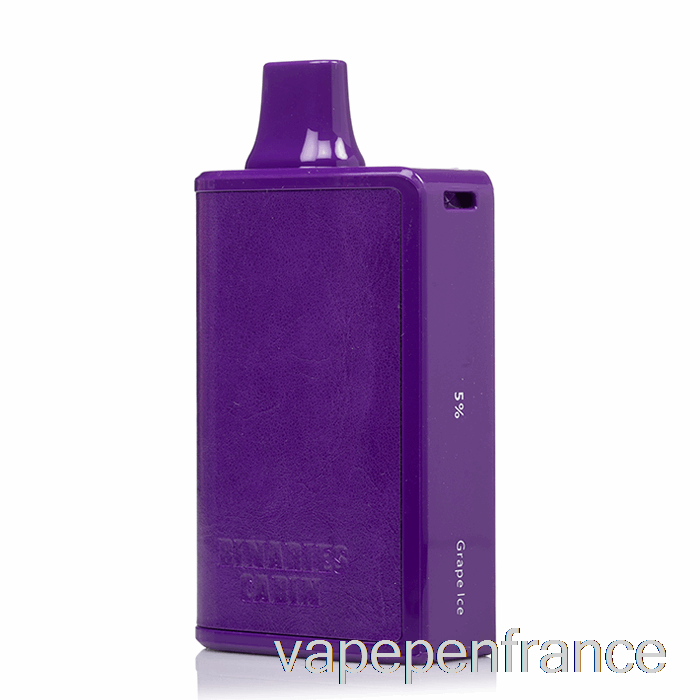 Horizon Binaires Cabine 10000 Stylo Jetable De Vape De Glace De Raisin